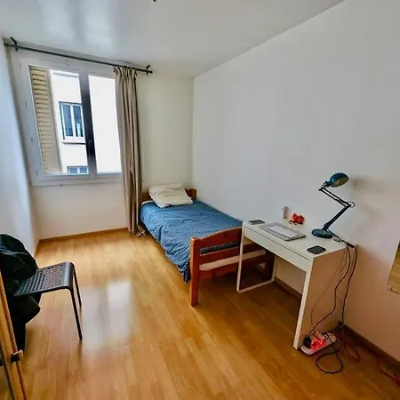 Apartment Tres Jolie Equipe & Wifi Grenoble